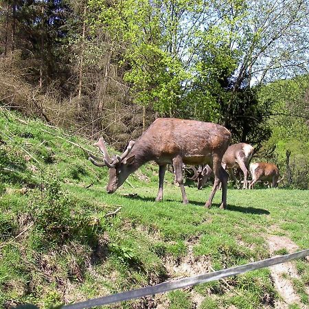 Birkenhain Stolberg  Luaran gambar