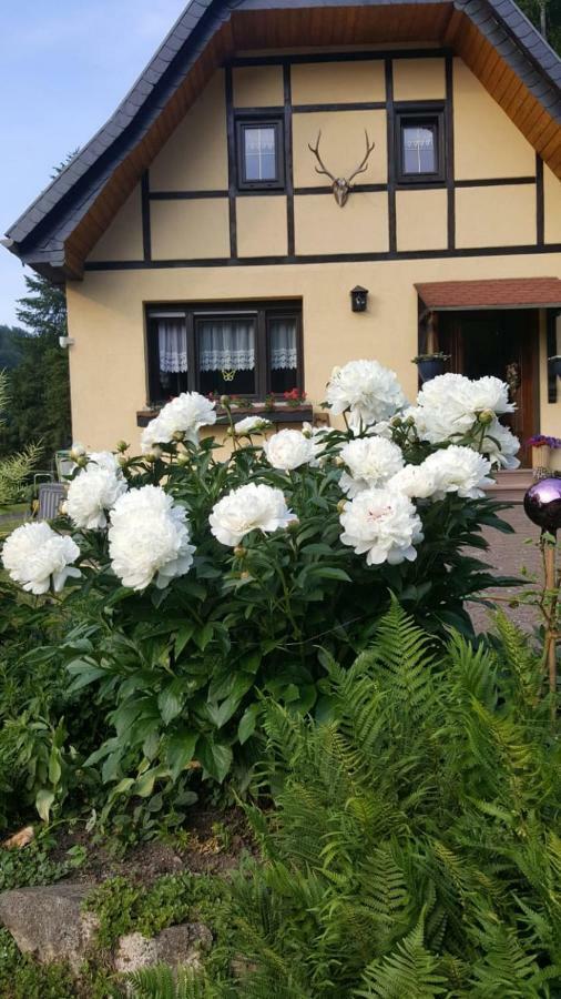 Birkenhain Stolberg  Luaran gambar