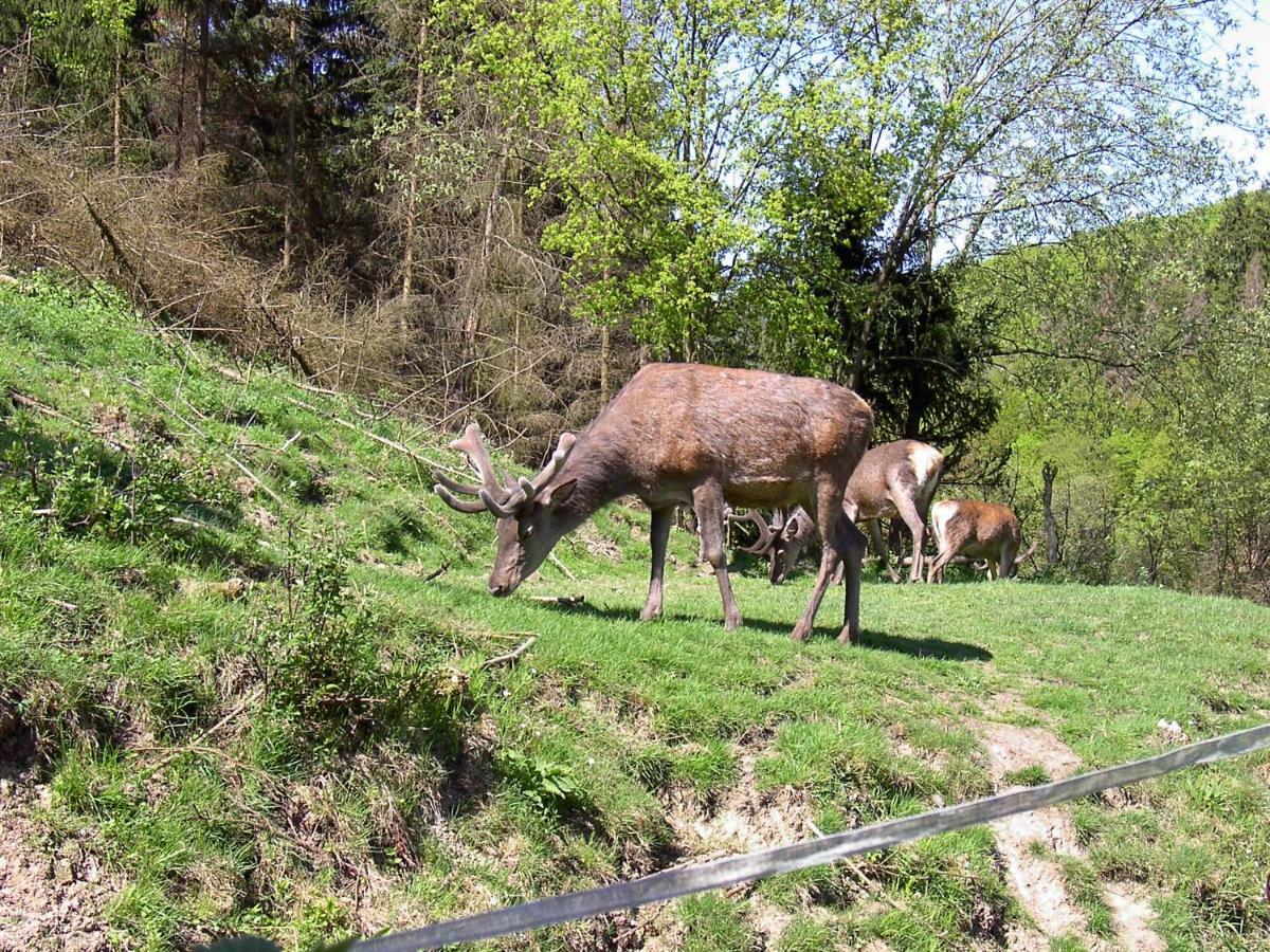Birkenhain Stolberg  Luaran gambar